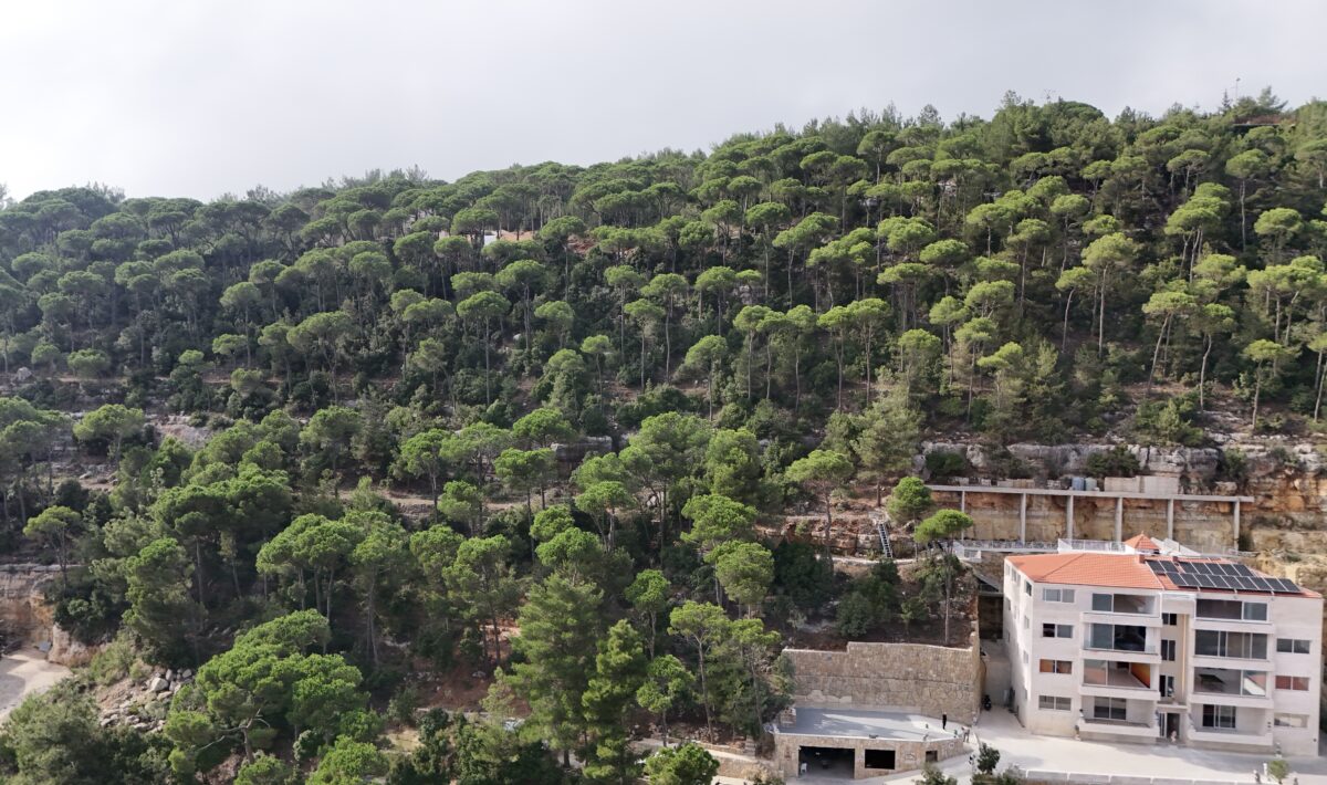 RIBAL's ART ROOF - Baissour Lebanon